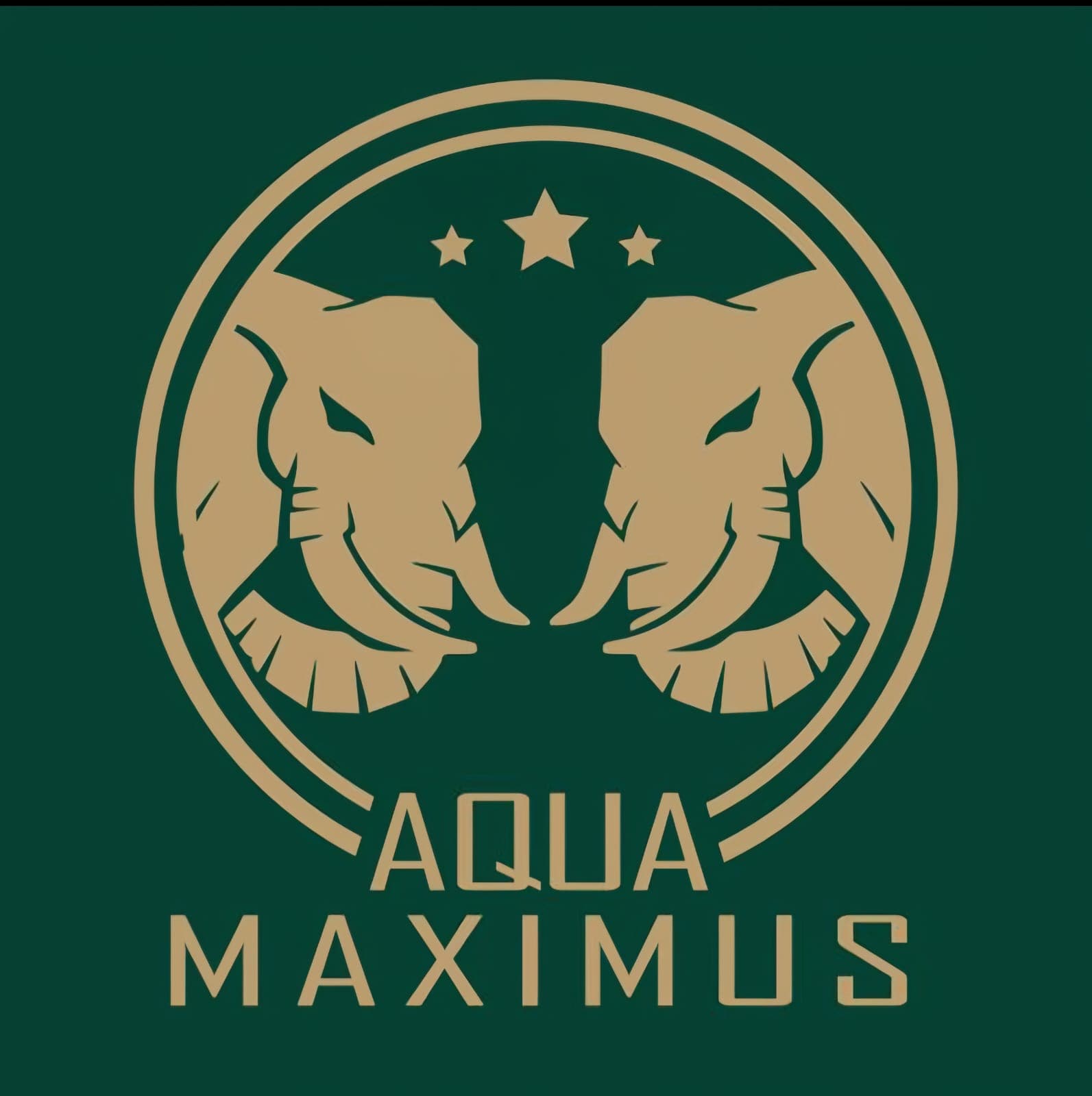 Swimming Festival Logo